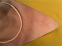 Collana Ultima Edizione Donna in Argento Pasta di corallo CAO4546-ROSA - CAO4546-ROSA